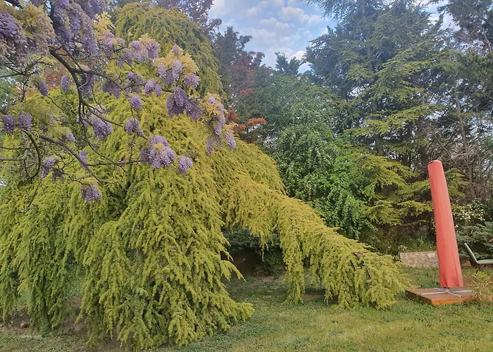Gite Au Coeur De La Provence & Spa