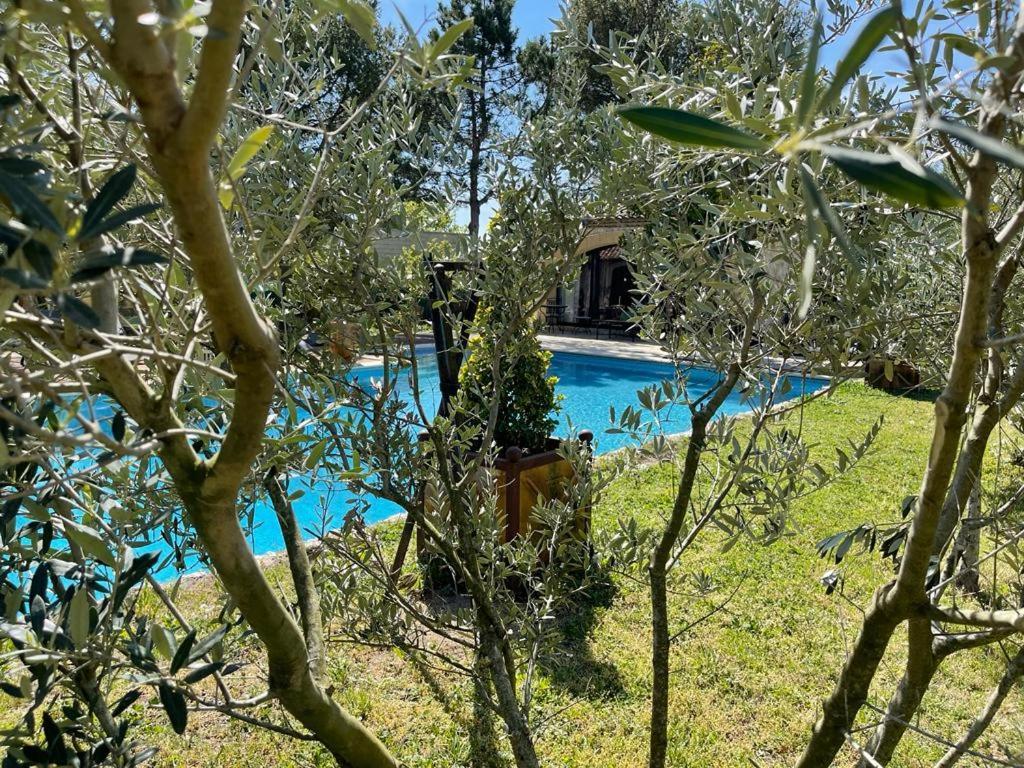 Gite Au Coeur De La Provence Holiday home Saint-Cannat