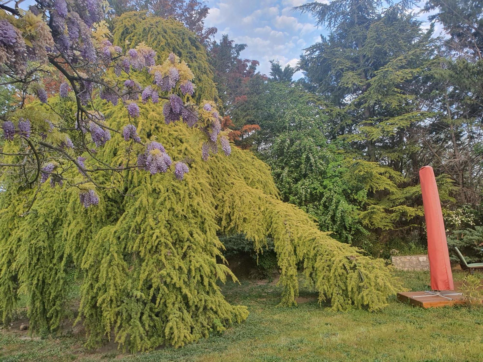 Holiday home Gite Au Coeur De La Provence Saint-Cannat